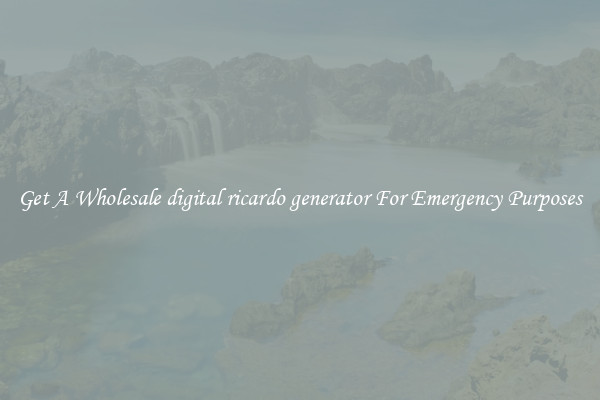 Get A Wholesale digital ricardo generator For Emergency Purposes
