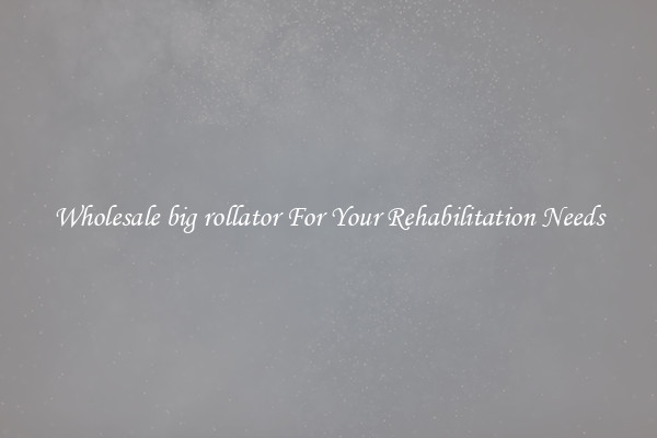 Wholesale big rollator For Your Rehabilitation Needs
