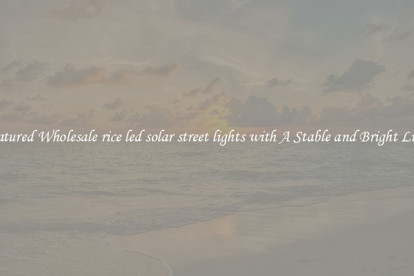 Featured Wholesale rice led solar street lights with A Stable and Bright Light