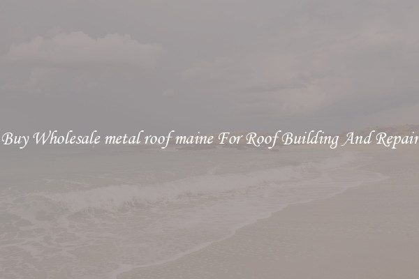 Buy Wholesale metal roof maine For Roof Building And Repair