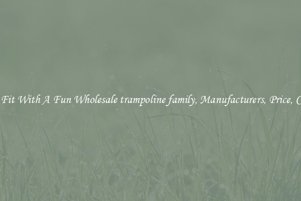 Keep Fit With A Fun Wholesale trampoline family, Manufacturers, Price, Cheap 