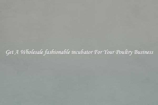Get A Wholesale fashionable incubator For Your Poultry Business