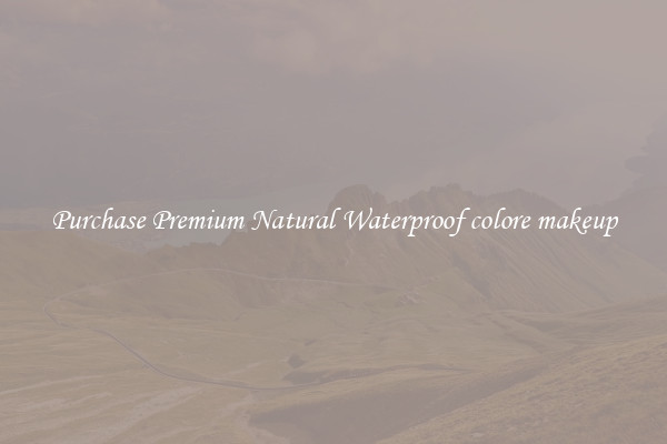 Purchase Premium Natural Waterproof colore makeup