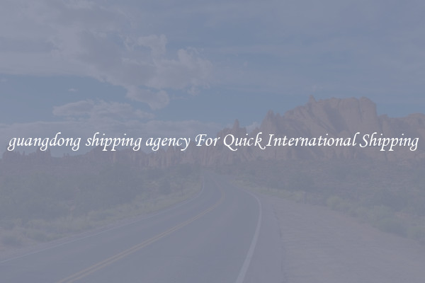 guangdong shipping agency For Quick International Shipping