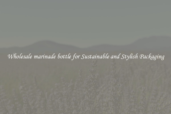 Wholesale marinade bottle for Sustainable and Stylish Packaging