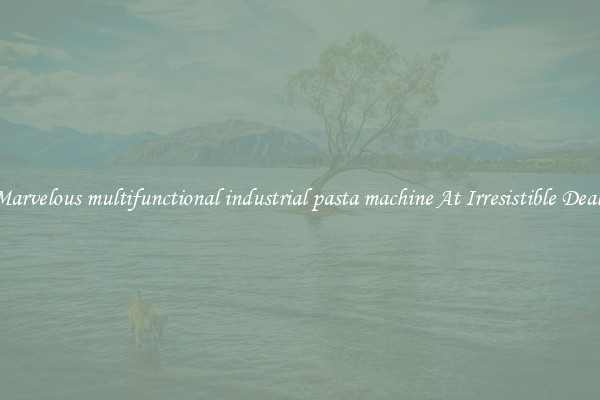 Marvelous multifunctional industrial pasta machine At Irresistible Deals
