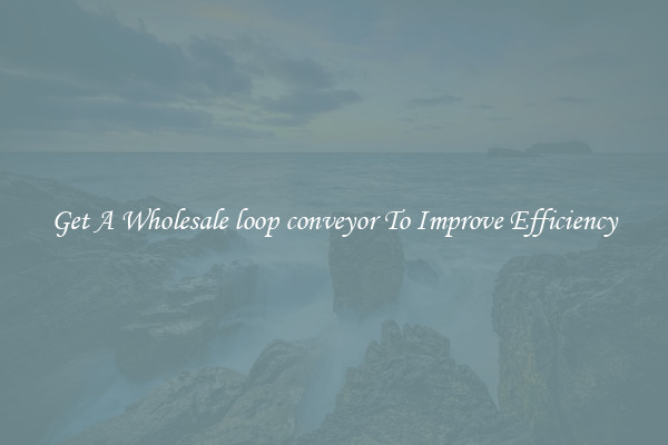 Get A Wholesale loop conveyor To Improve Efficiency