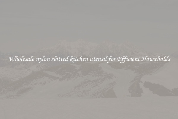 Wholesale nylon slotted kitchen utensil for Efficient Households