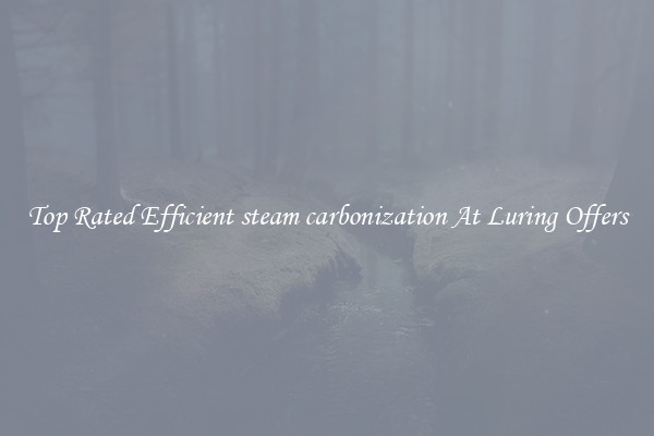 Top Rated Efficient steam carbonization At Luring Offers