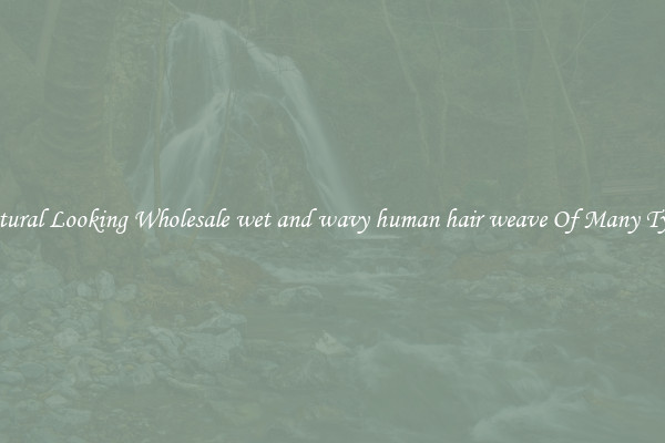 Natural Looking Wholesale wet and wavy human hair weave Of Many Types