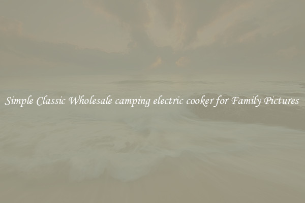 Simple Classic Wholesale camping electric cooker for Family Pictures 